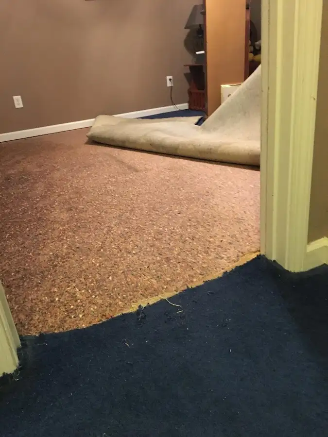 Carpet pad removal revealing water damage during Water Mitigation Services in Wharton