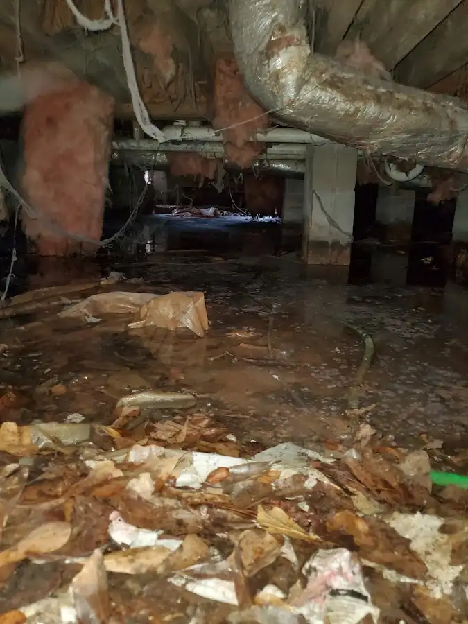 Crawl space flood assessment for Leak Detection & Repair in Wharton
