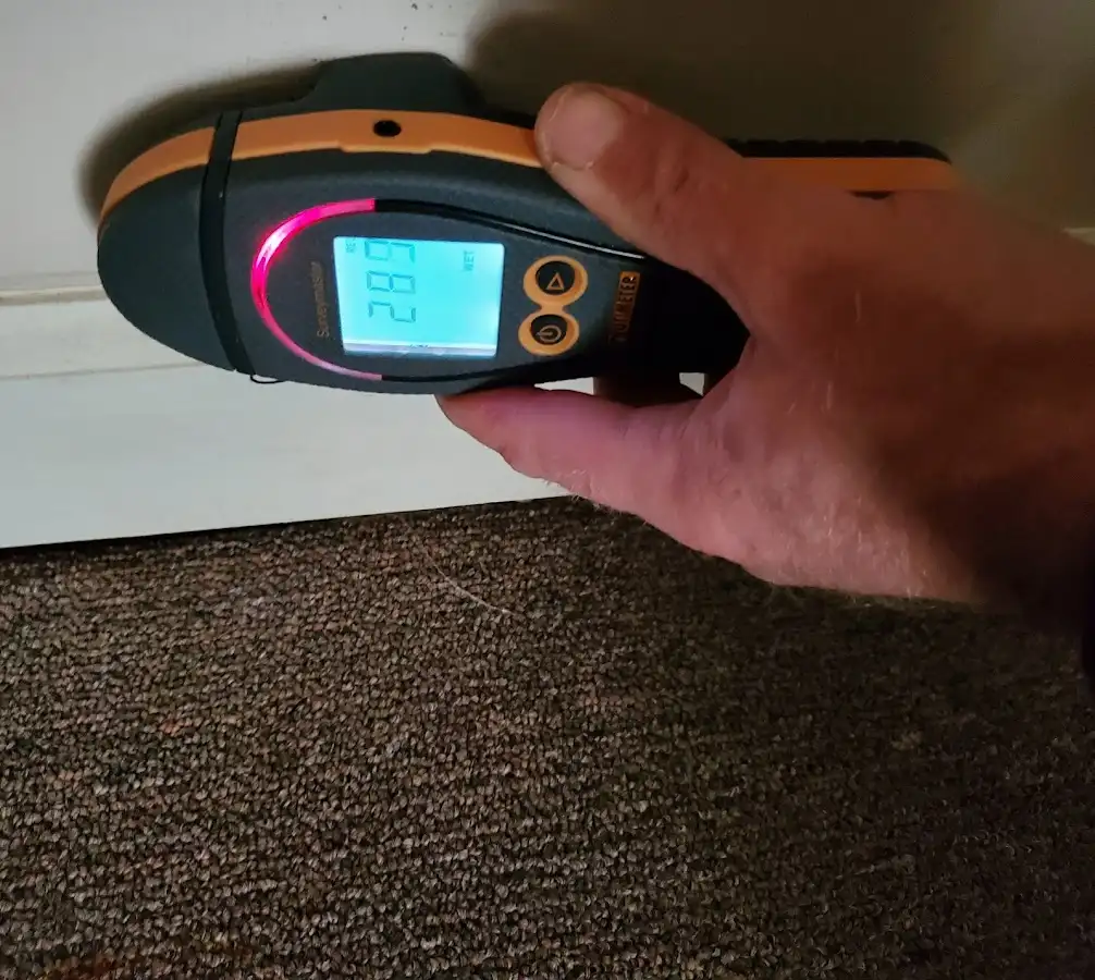 Moisture detection at baseboard during Mold Inspection & Testing in Wharton